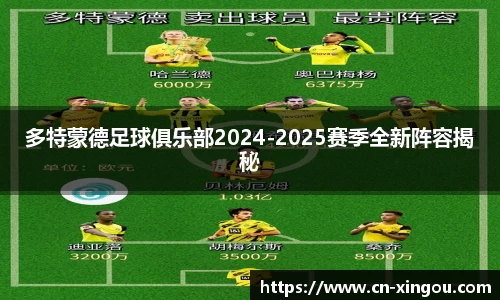 多特蒙德足球俱乐部2024-2025赛季全新阵容揭秘